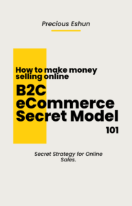 B2C eCommerce Secret Model 101 - Front Page